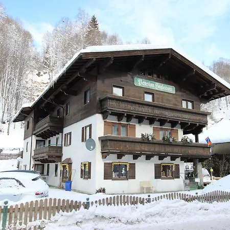 In Hinterglemm Near Area Apartment