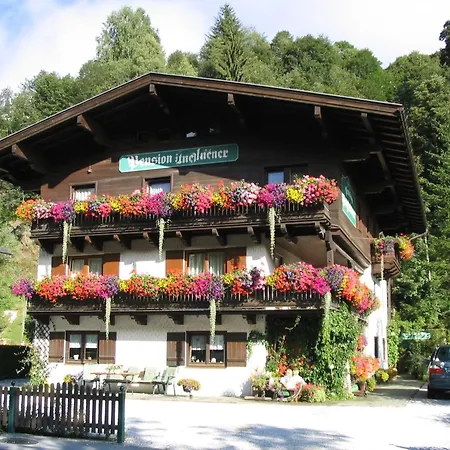 In Hinterglemm Near Area