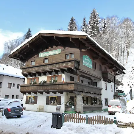 In Hinterglemm Near Area Apartment