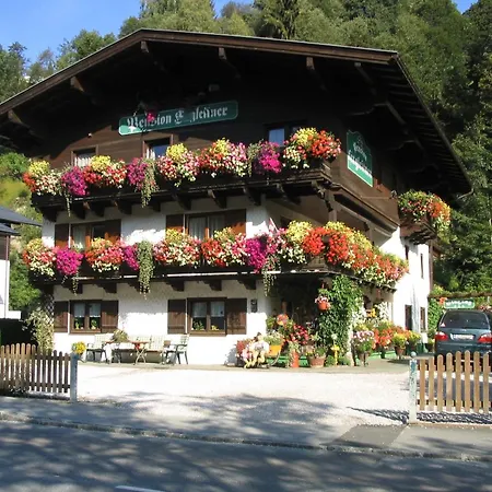 Apartment In Hinterglemm Near Area *