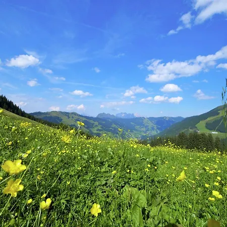 In Hinterglemm Near Area Apartment Saalbach-Hinterglemm