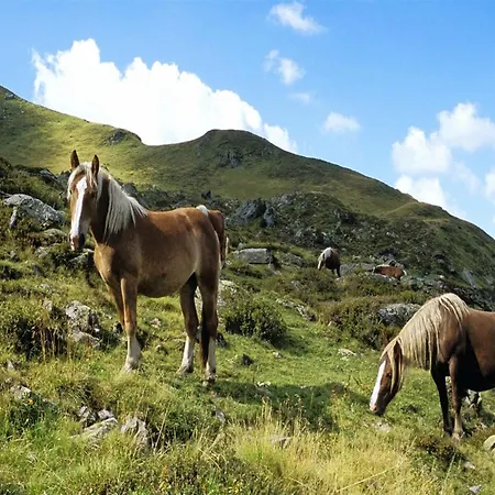 In Near Area 公寓 *