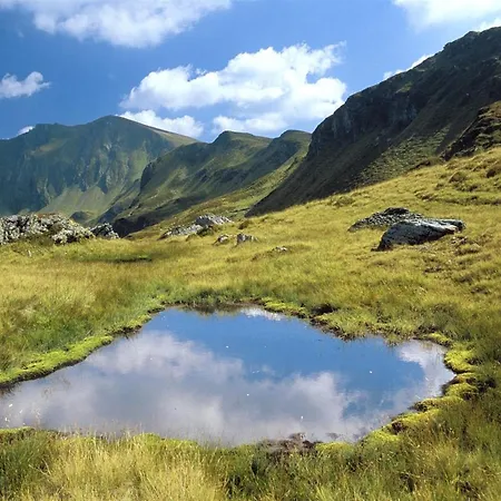 In Near Area 公寓 萨尔巴赫