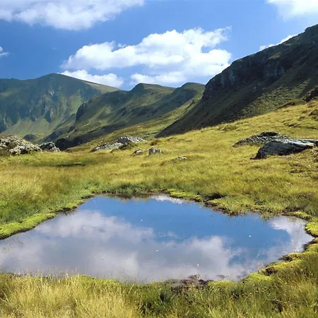 公寓 In Near Area *