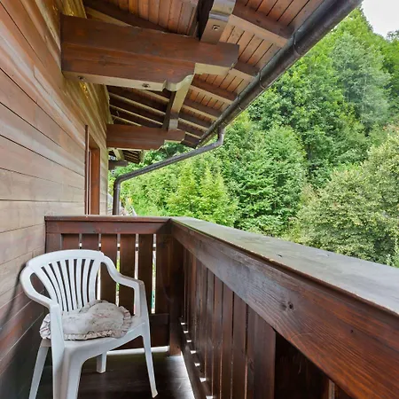 公寓 In Near Area *