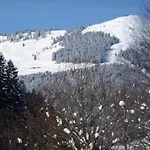 In Near Area