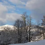In Near Area * Saalbach-Hinterglemm
