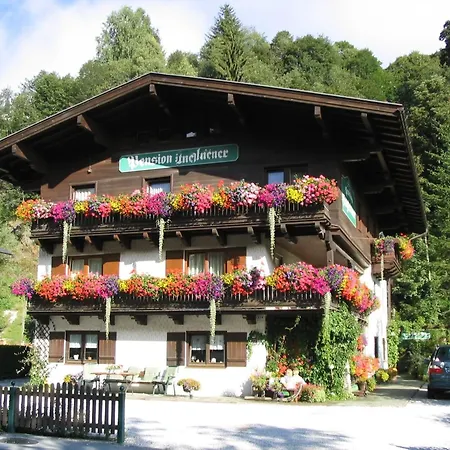 Apartment In Hinterglemm Near Area Saalbach-Hinterglemm