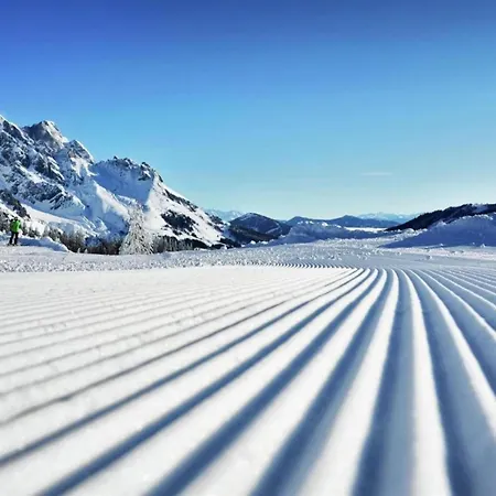 In Near Area Saalbach-Hinterglemm