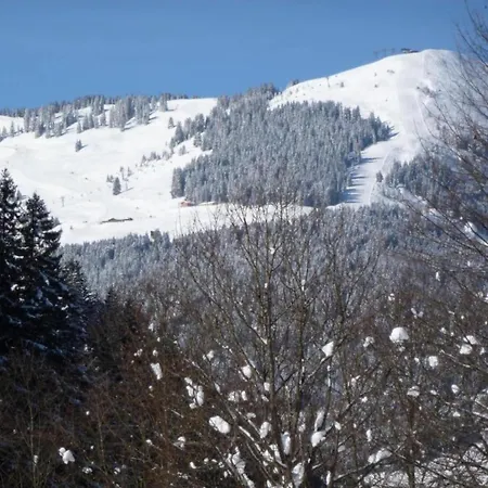 In Hinterglemm Near Area