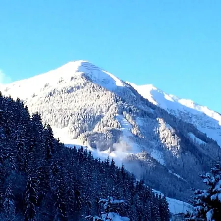 公寓 In Near Area *