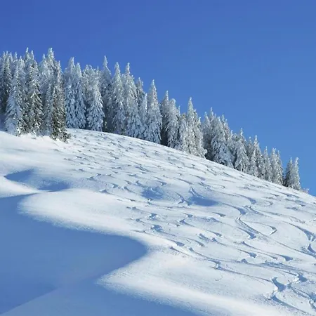 In Near Area Saalbach-Hinterglemm