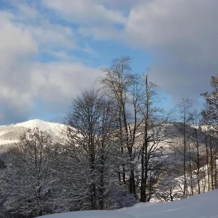 In Near Area * 萨尔巴赫