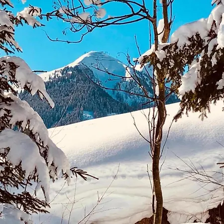 In Hinterglemm Near Area Apartman