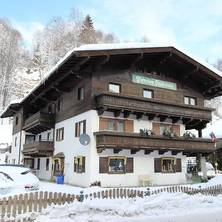In Near Area * Saalbach-Hinterglemm