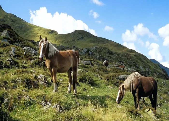 In Near Area Apartament *