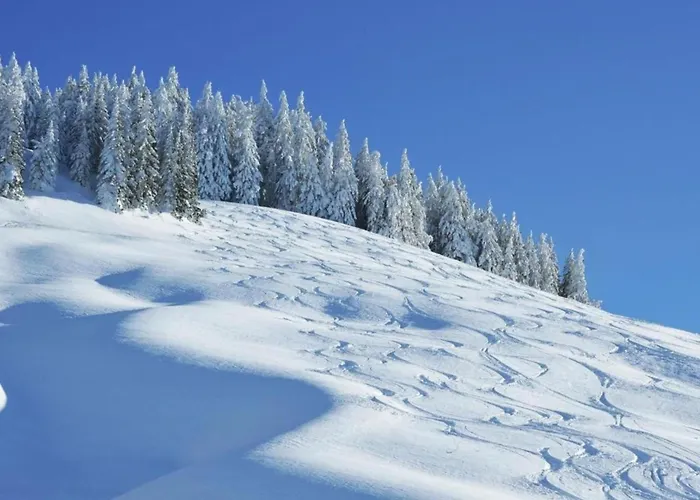 In Near Area Saalbach-Hinterglemm