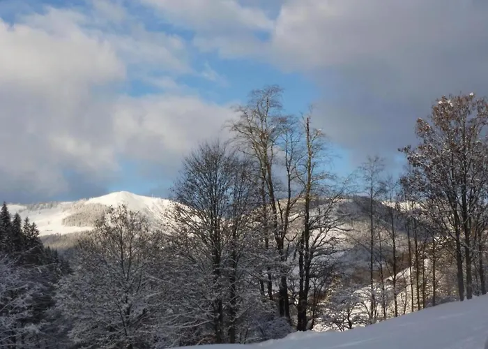 In Near Area * Saalbach-Hinterglemm